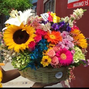 Meet your Posher, Jessamy